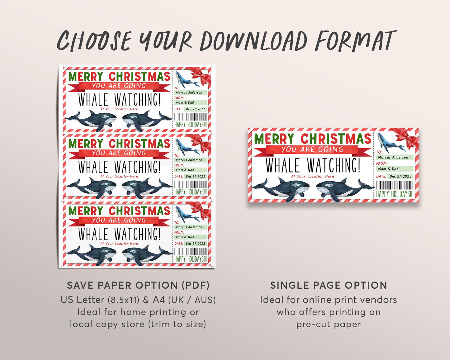 Christmas Whale Watching Trip Ticket Editable Template, Surprise Whale Watching Boat Cruise Day Trip Gift Voucher Gift Certificate Coupon