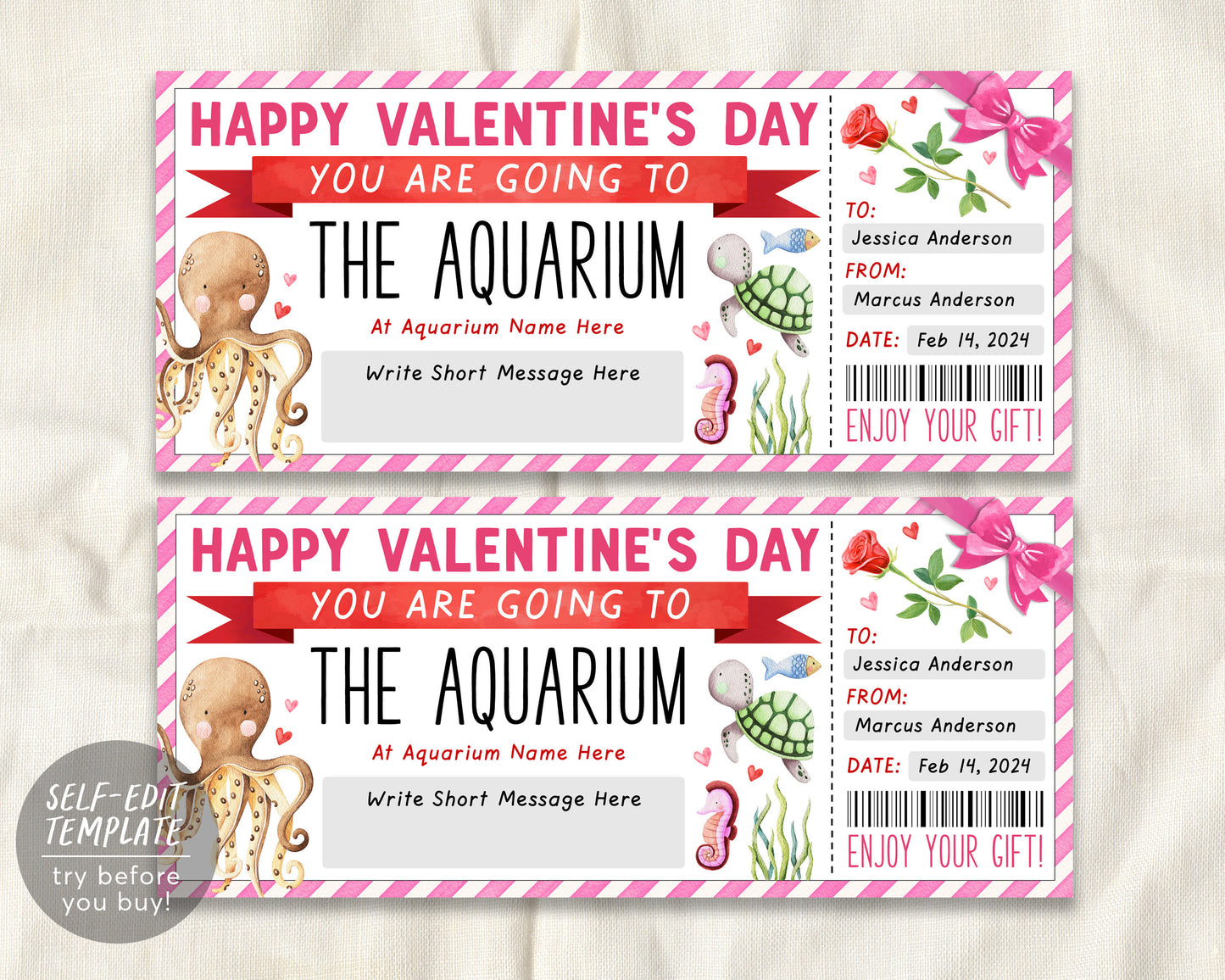 Valentines Day Aquarium Trip Ticket Editable Template