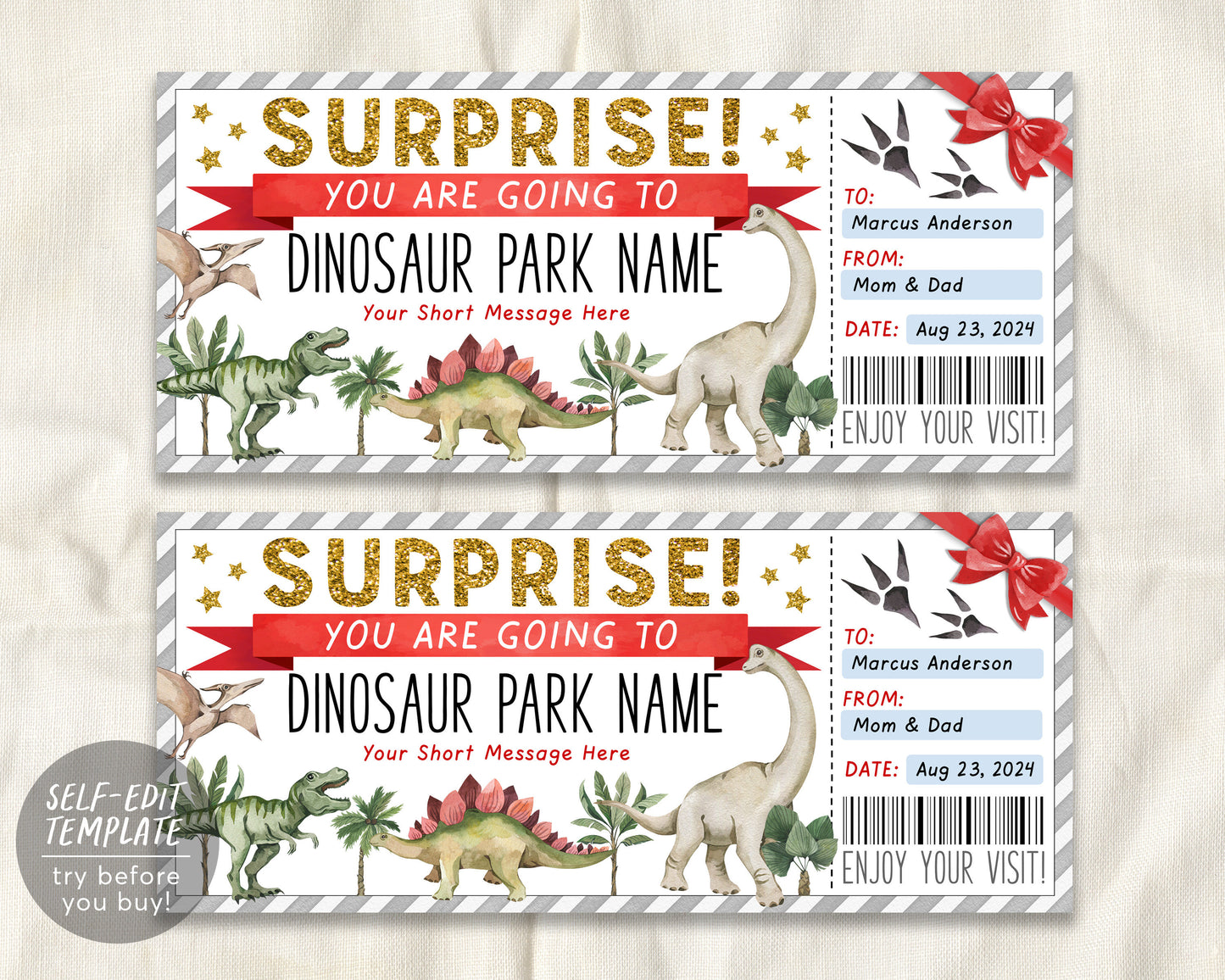 Dinosaur Park Ticket Editable Template