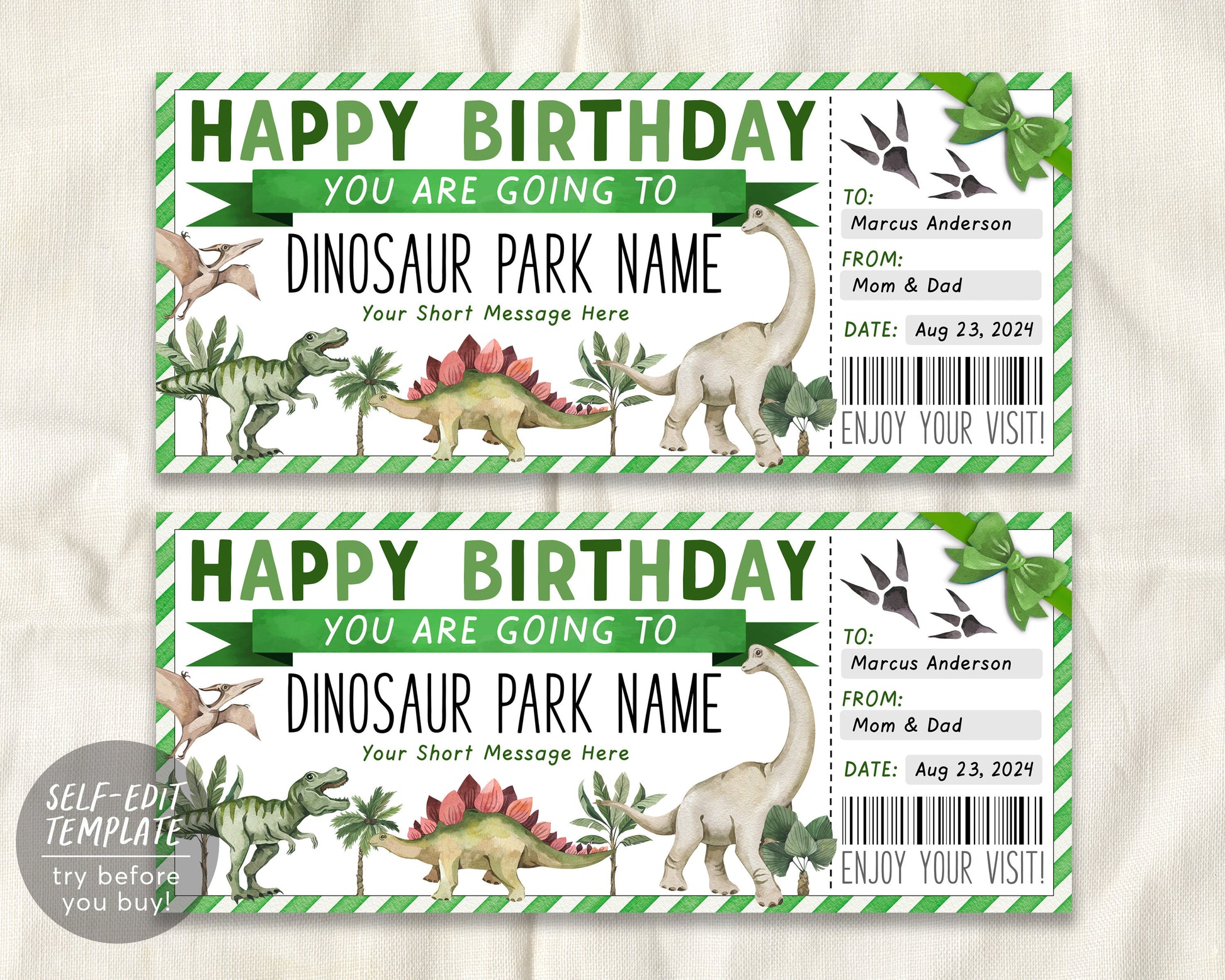 Birthday Dinosaur Park Ticket Editable Template