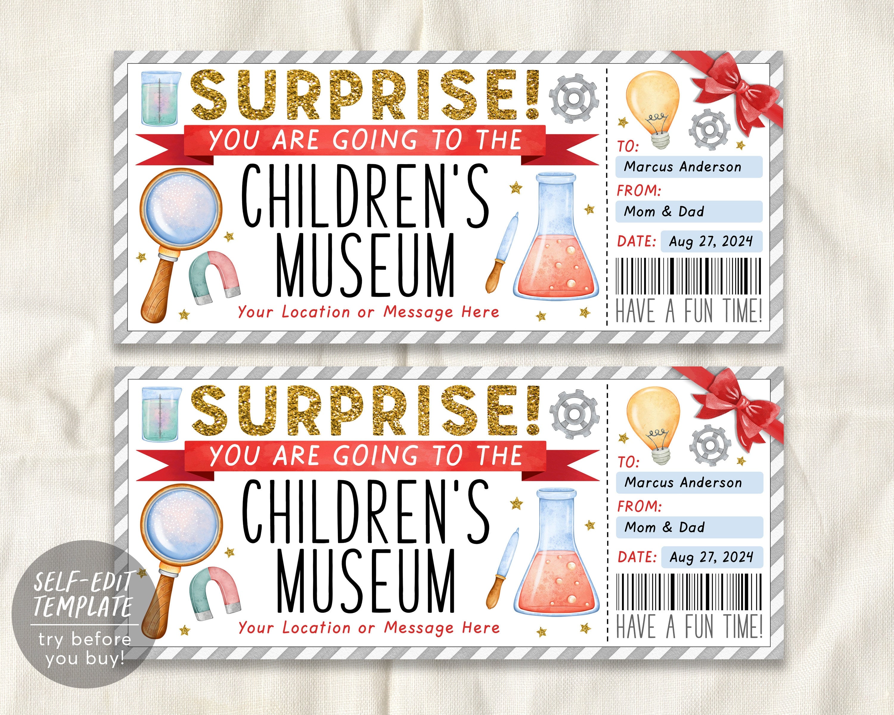 Children's Museum Ticket Editable Template, Surprise Museum Membership ...